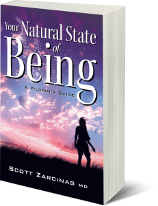Your Natural State of Being by Scott Zarcinas